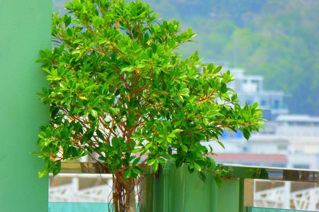 Add Plus Hotel&Spa Patong Exterior foto